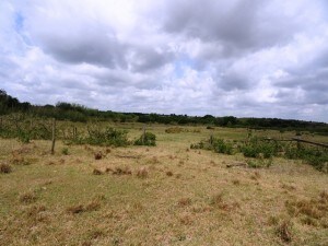 0 Old Homeland Rd, Bartow, FL for sale Other- Image 1 of 1