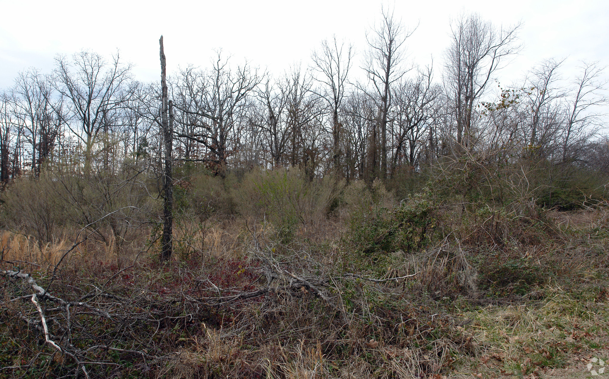 Camp Robinson Rd, North Little Rock, AR for sale Primary Photo- Image 1 of 1