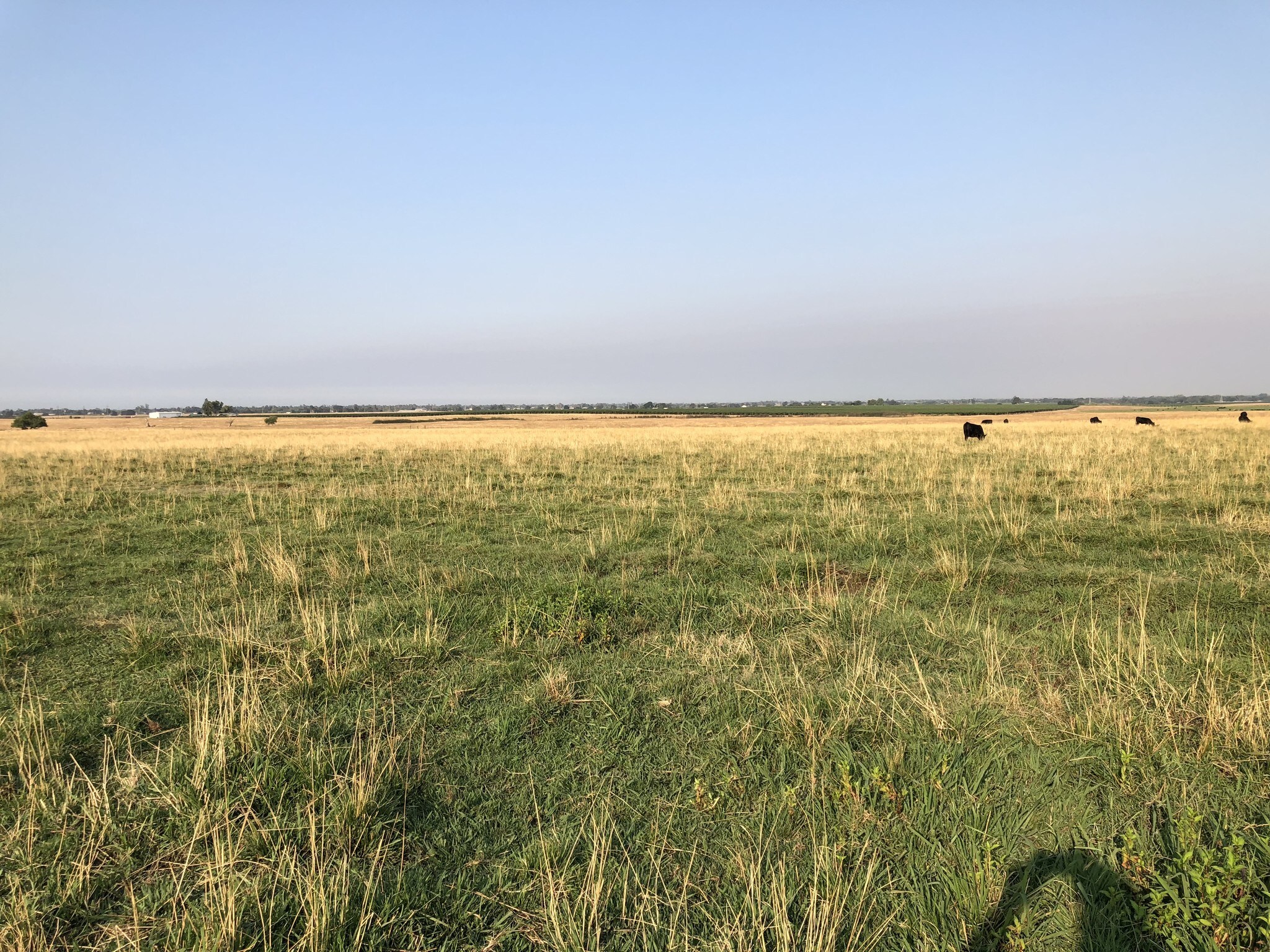 17105 E Liberty Rd, Clements, CA for sale Other- Image 1 of 1