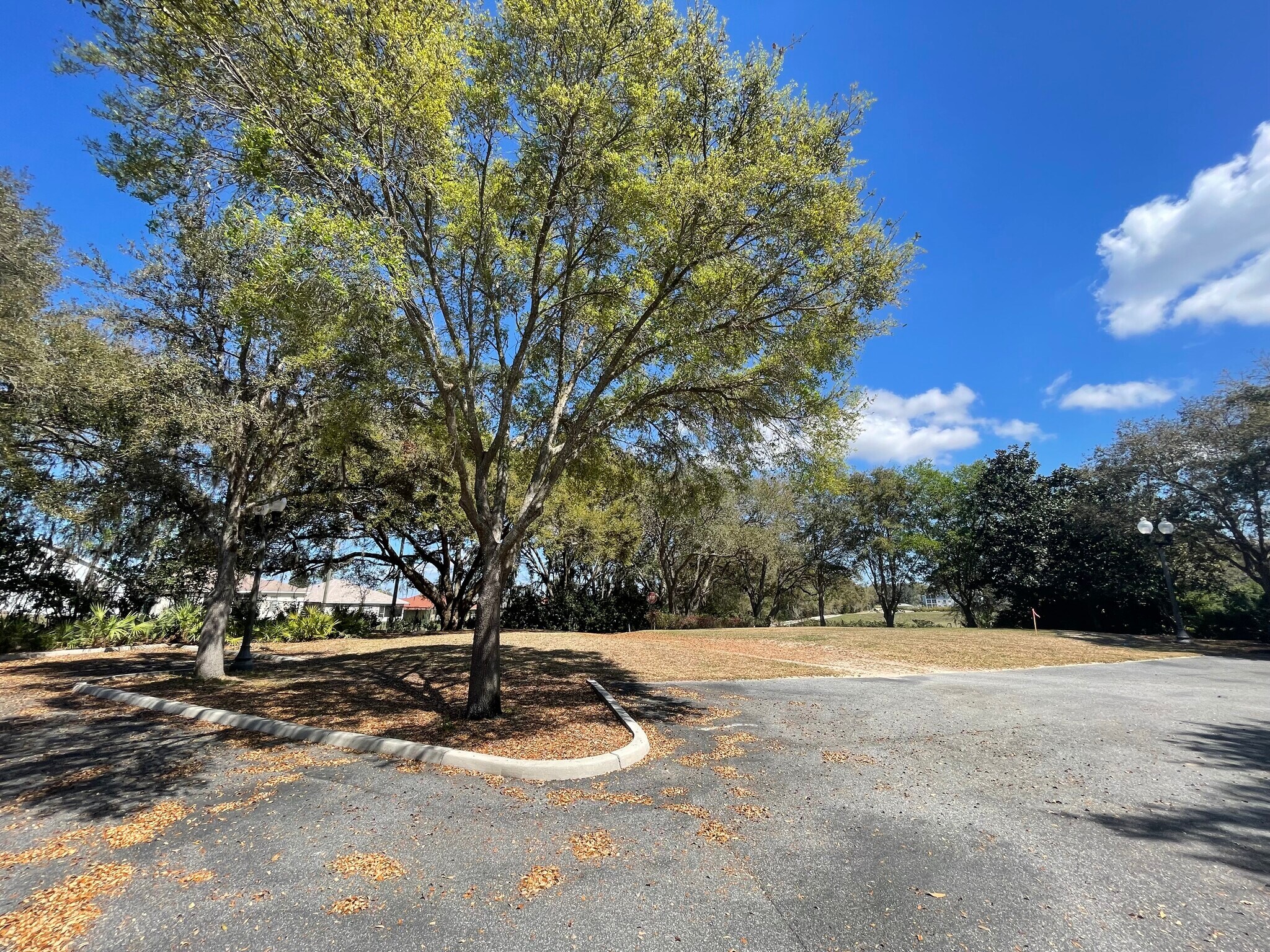 8550 NE 138th Ln, Lady Lake, FL 32159 Group 8