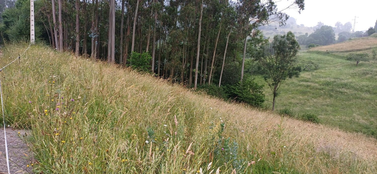 Barrio Illas, S/N, Illas, Asturias for sale Aerial- Image 1 of 9