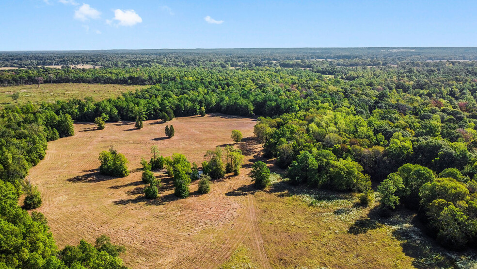 15863 Rogers, Willis, TX for sale - Primary Photo - Image 1 of 11