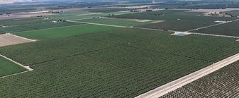 167.6+/- Acres - Almond Orchard - Land