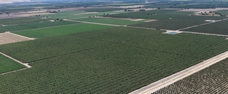 More details for Avenue 192, Strathmore, CA - Land for Sale