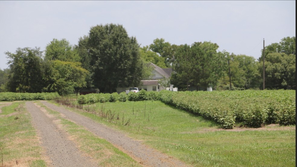 11323 Old Needville Fairchild Rd, Needville, TX 77461