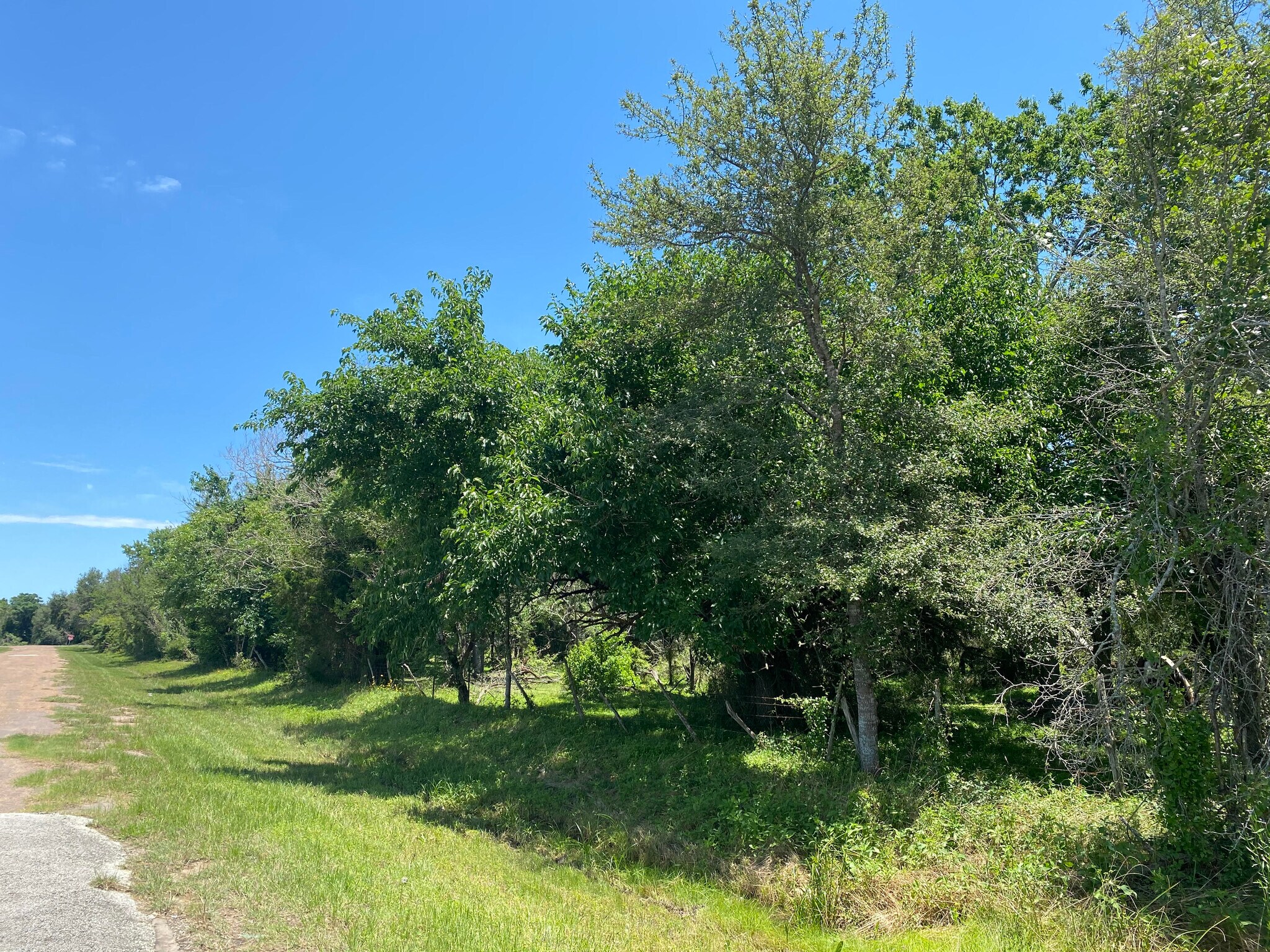 4325 Campo Santo st, Sealy, TX for sale Primary Photo- Image 1 of 1