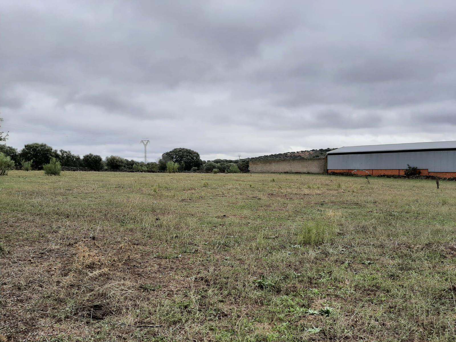 Land in Torremocha for sale Building Photo- Image 1 of 8