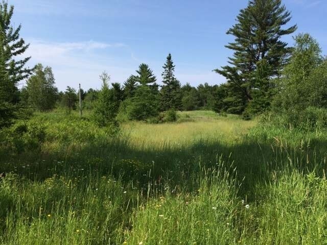 County Highway A, Tomahawk, WI for sale - Building Photo - Image 1 of 1