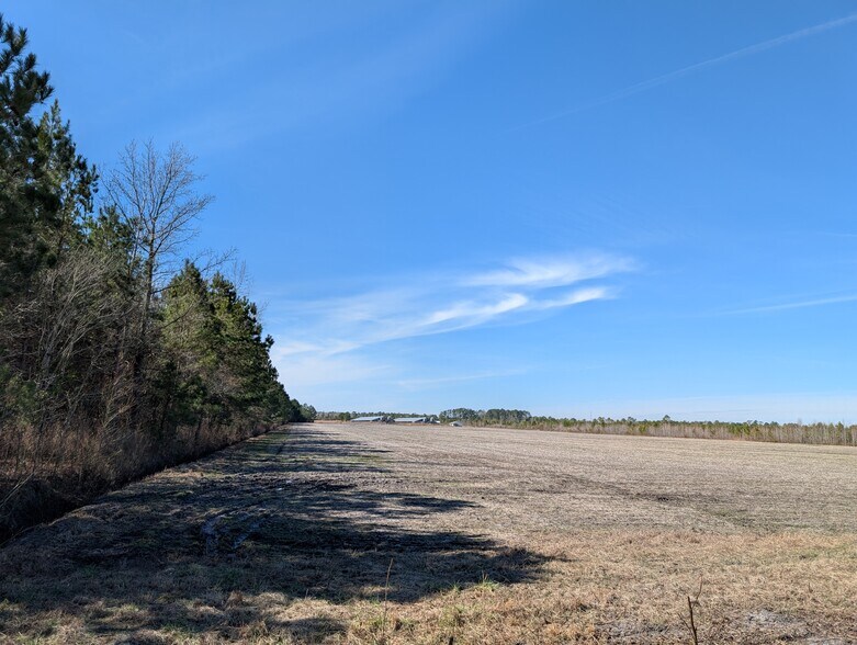 522 Plum Nearly Ln, Trenton, NC for sale - Building Photo - Image 2 of 24