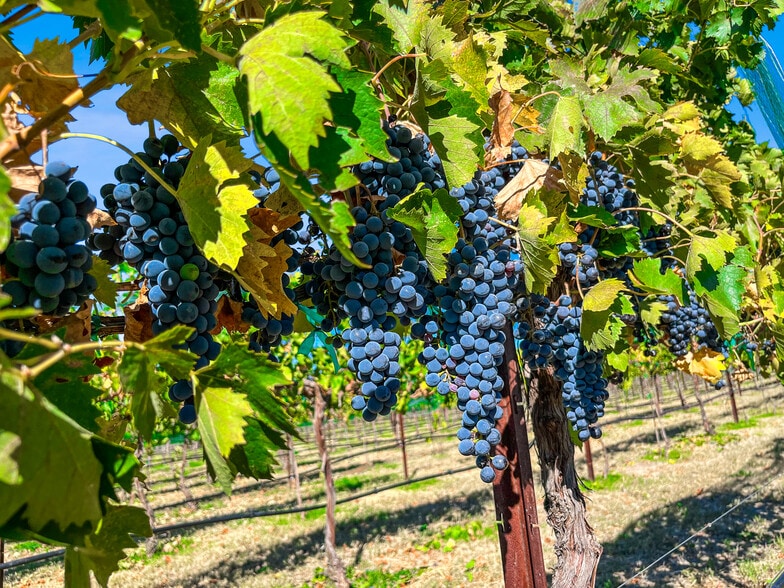 15875 Walnut Grove rd, Kirkland, AZ for sale - Building Photo - Image 1 of 1