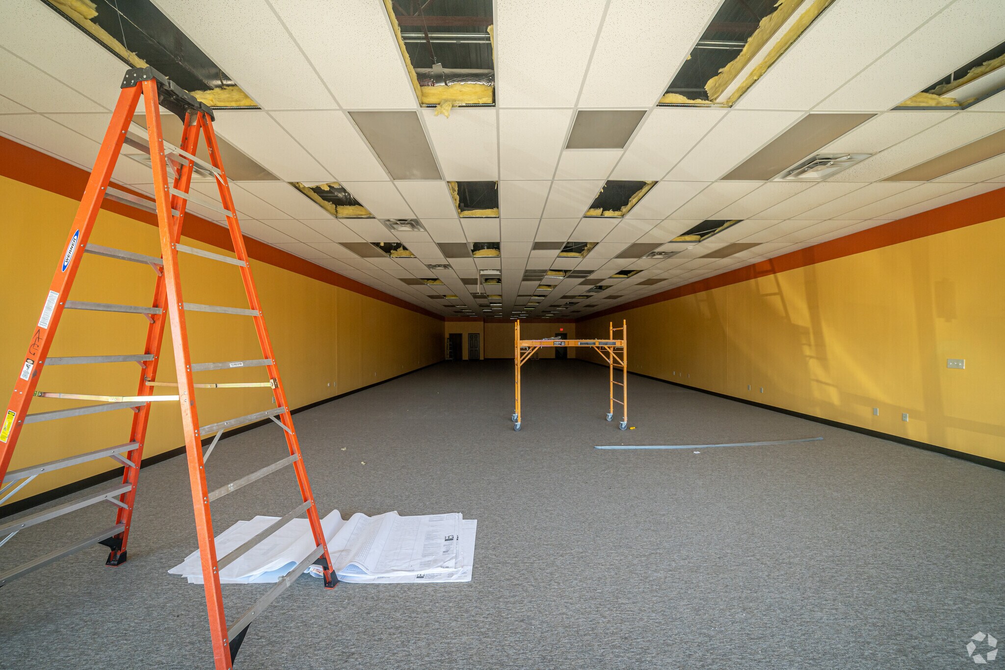 Avatar Bluray Launch Night Bluray Forum