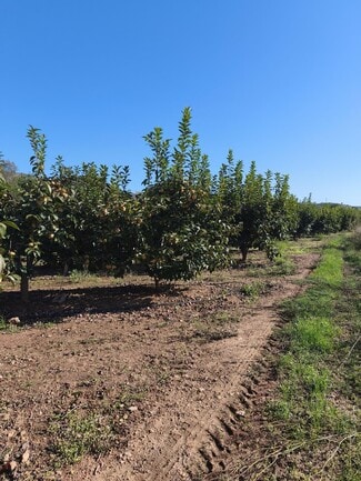 More details for Plaça Bandes de Música de la Comunitat Valenciana, 5, València - Land for Sale