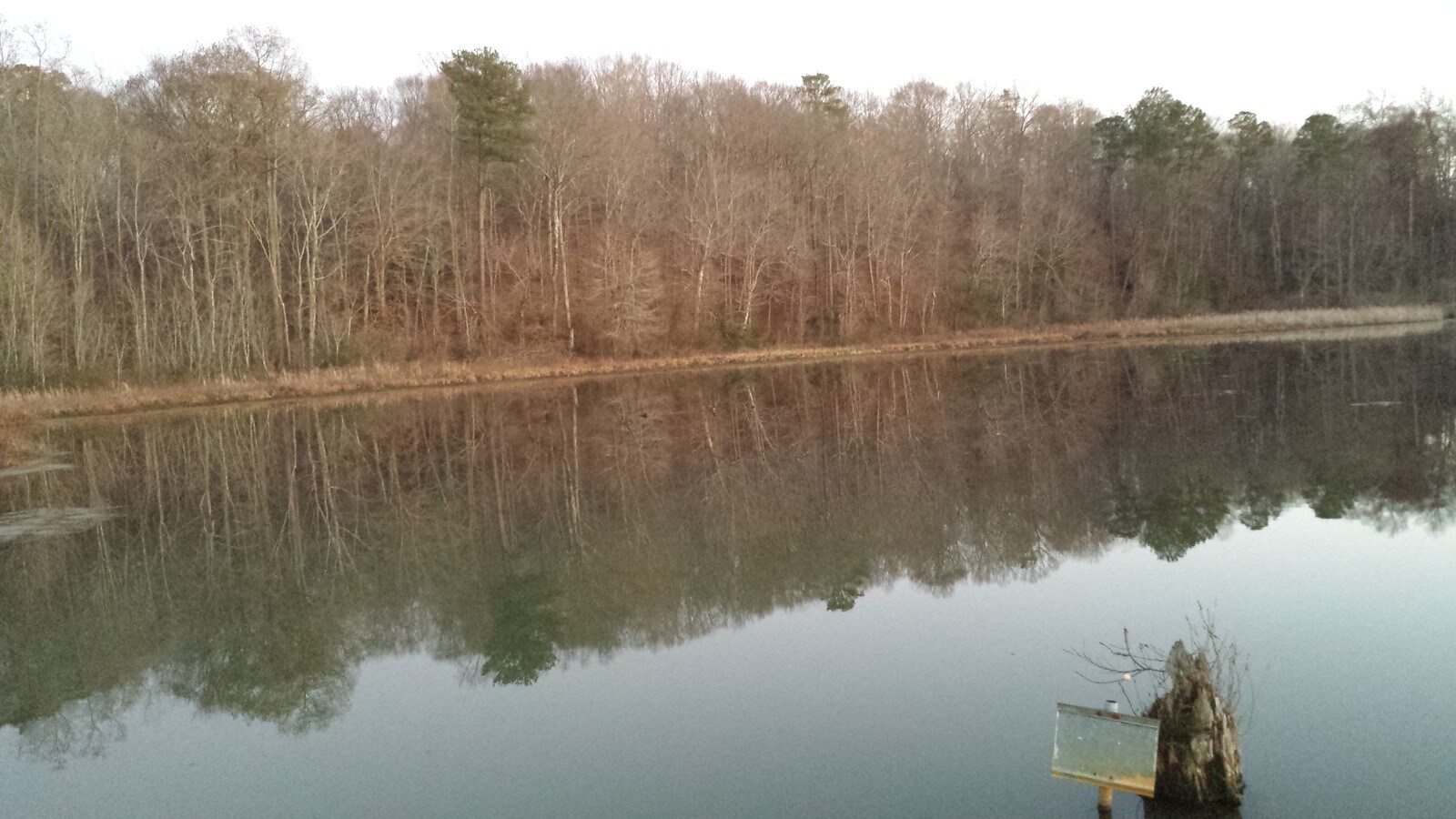 2 Sunken Meadow Rd, Spring Grove, VA 23881