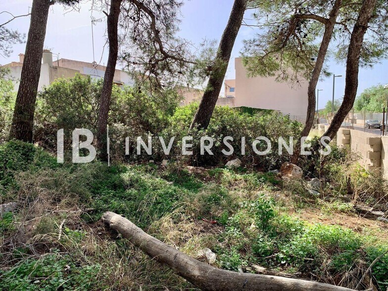 Land in Manacor, Islas Baleares for sale - Other - Image 2 of 4