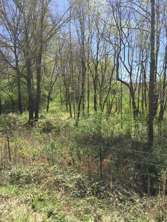 TEAVER Rd, Lagrange, GA 30240