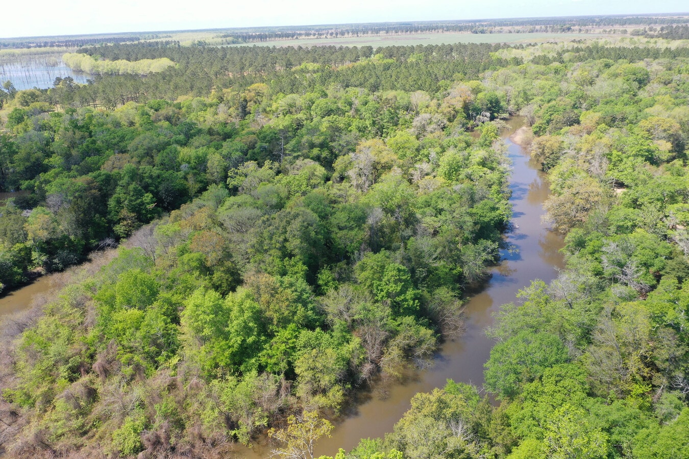 440 Lunsford Rd, Leary, GA 39862