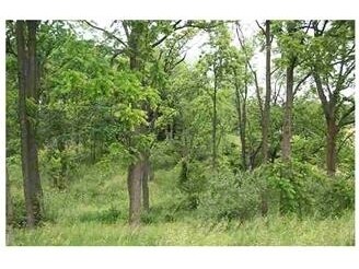 Hickory Rdg, Holly, MI for sale Primary Photo- Image 1 of 1