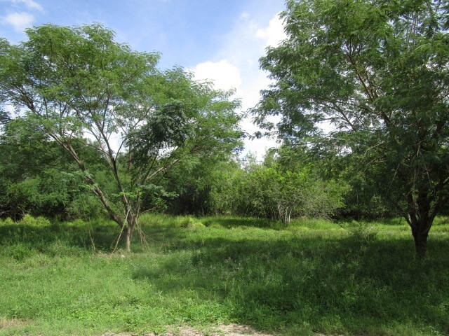 25094 Chester Park Rd, Harlingen, TX for sale - Building Photo - Image 3 of 6