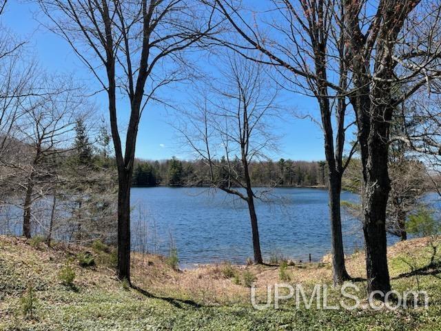 TBD Ackerman Lake Road, Munising, MI for sale - Primary Photo - Image 1 of 6