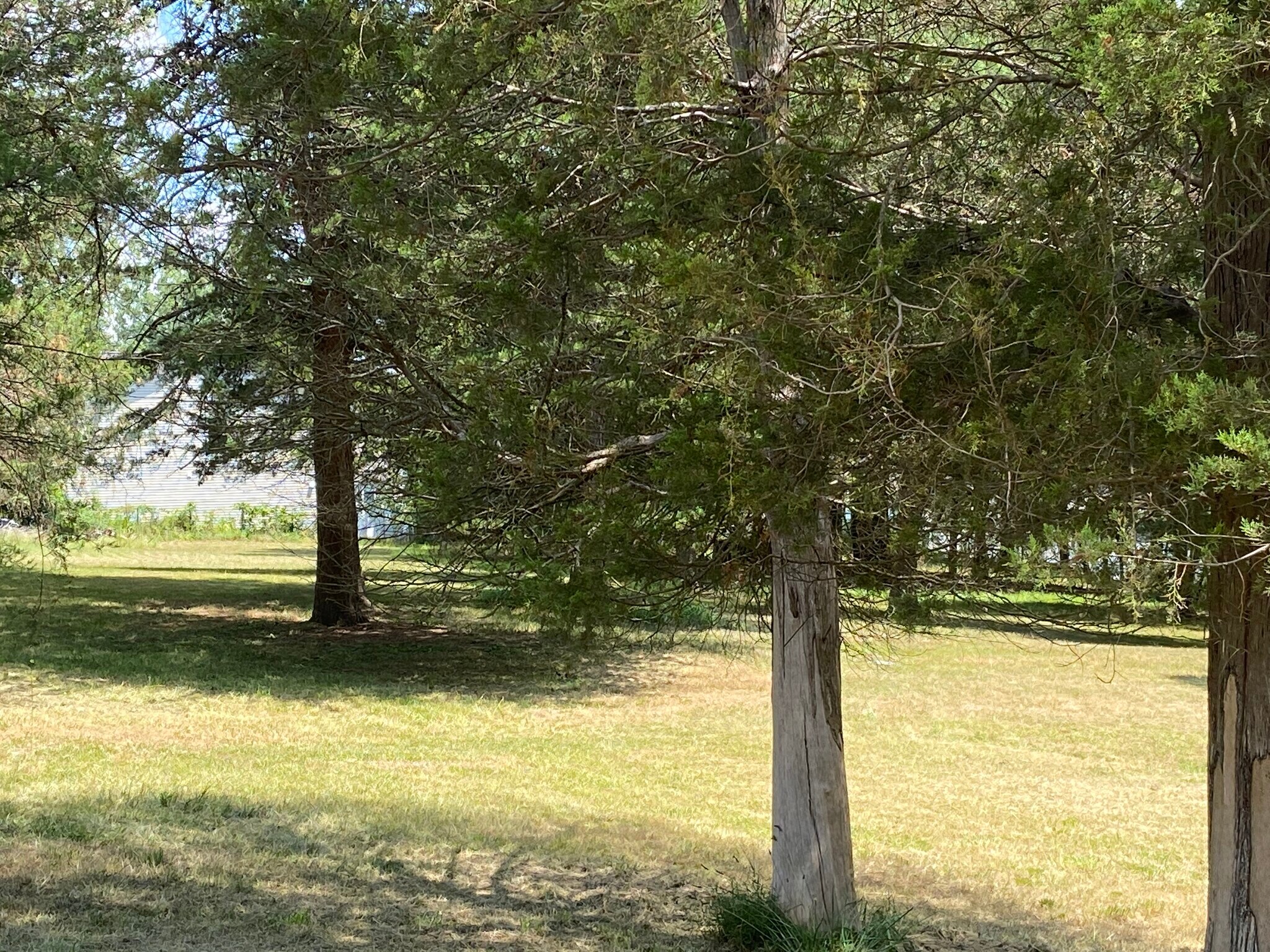 7800 Harrisburg Rd, Charlotte, NC 28215 Land for Sale