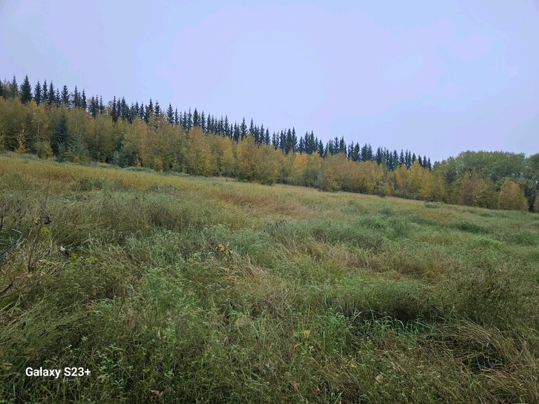 Ski Boot Hill Rd, Fairbanks, AK for sale - Building Photo - Image 2 of 5