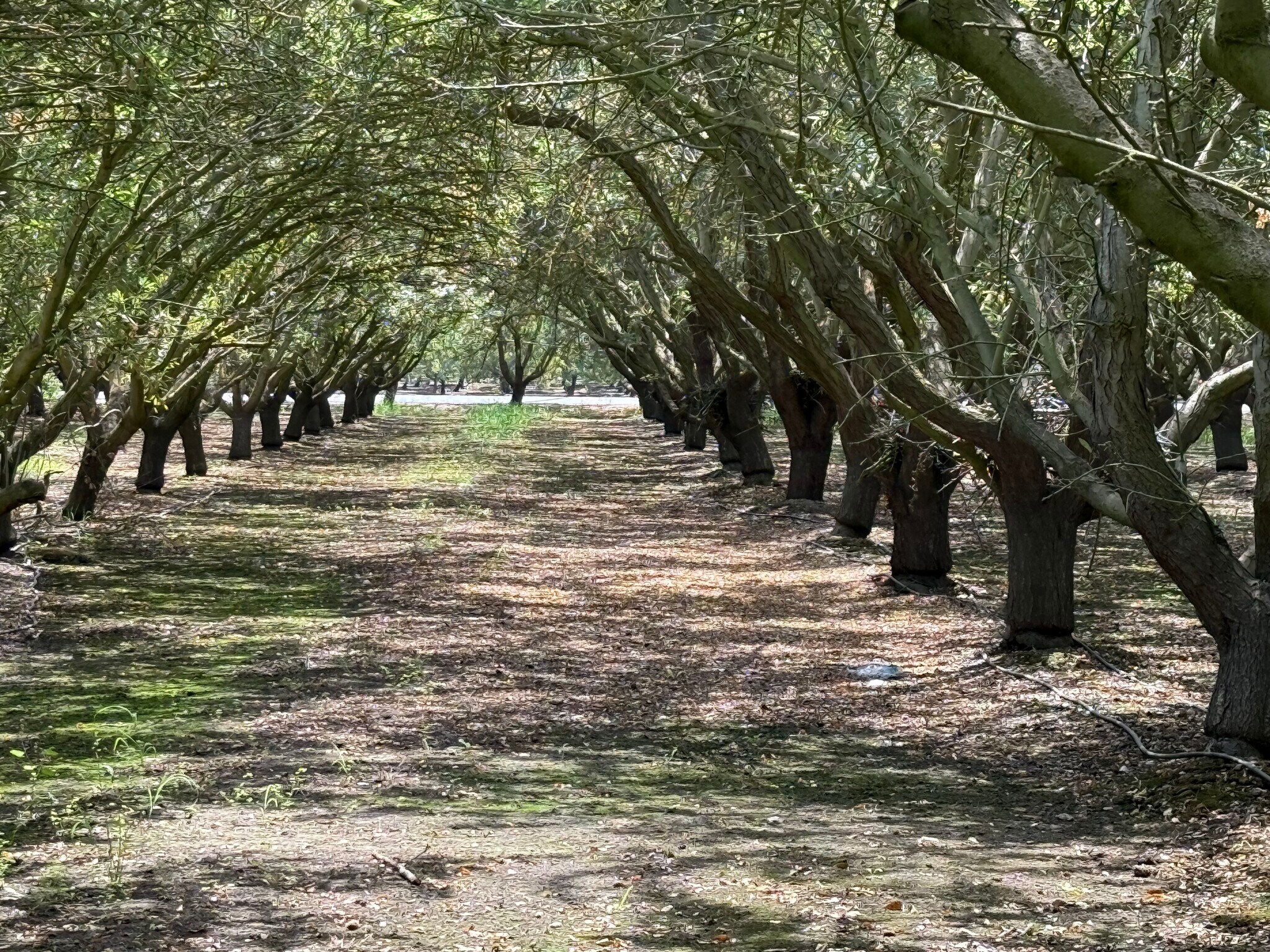 Yosemite Boulevard, Modesto, CA for sale Other- Image 1 of 4