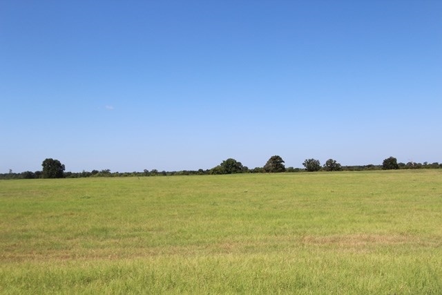 7559 FM 2120, Bagwell, TX for sale - Building Photo - Image 1 of 1