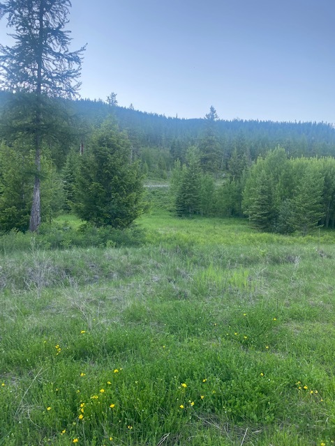 Haskill Mountain Ranch Phase 1, Kila, MT for sale Building Photo- Image 1 of 1