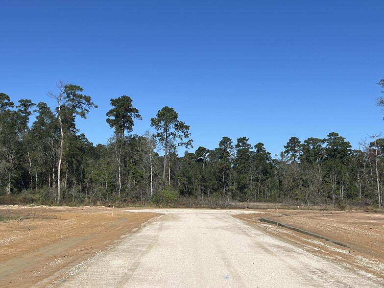 12895 Coon Massey Rd, Conroe, TX for sale - Building Photo - Image 1 of 8