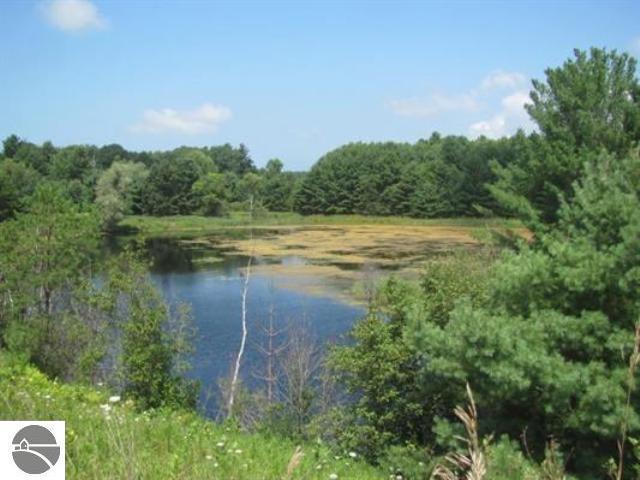 7846 Nine Mile Rd, Bear Lake, MI for sale - Building Photo - Image 1 of 1