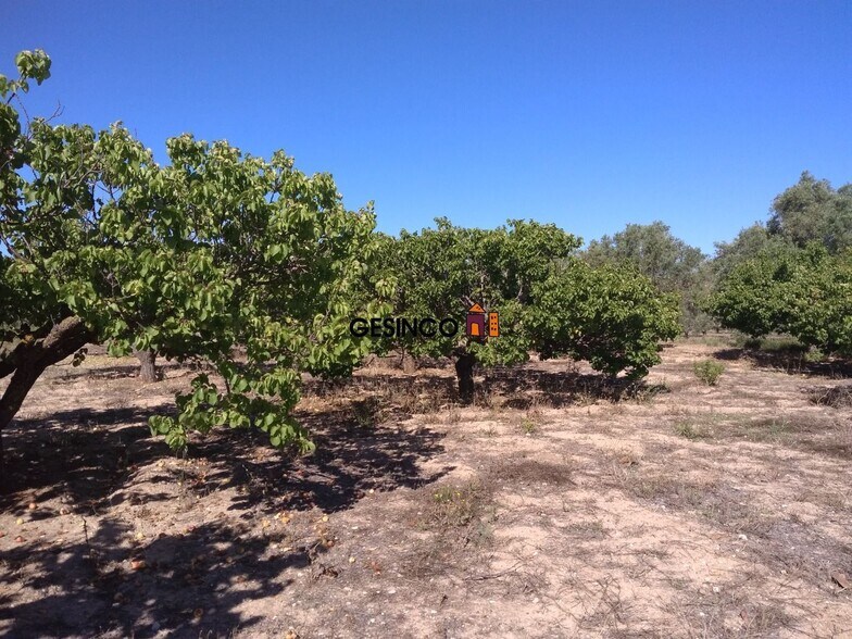 Land in Ontinyent for sale - Building Photo - Image 1 of 3