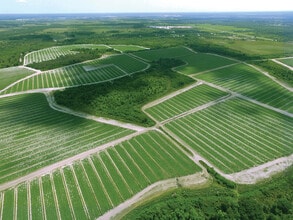 40105 Ballard Rd, Myakka City, FL - AERIAL map view - Image1