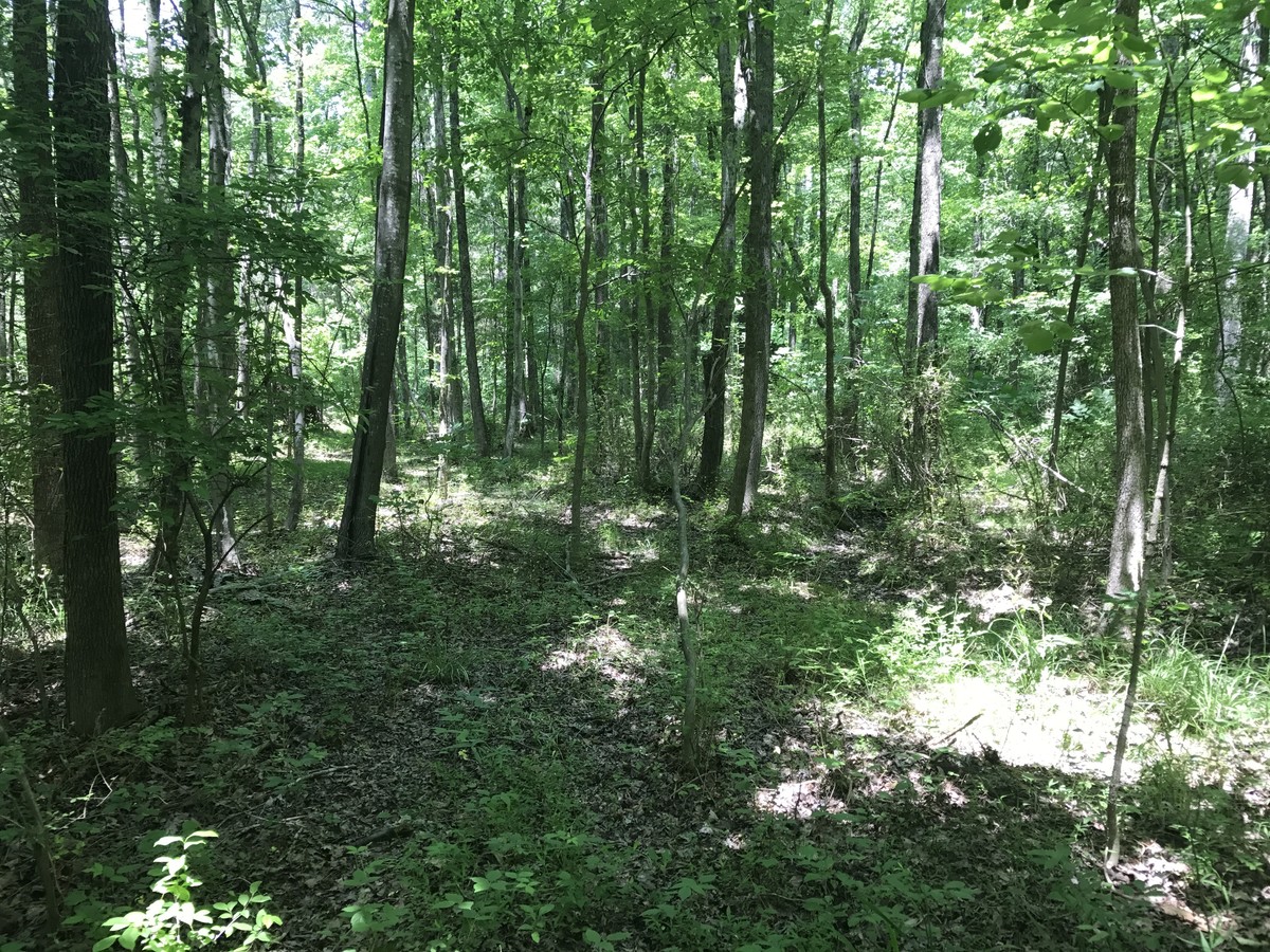 Uwharrie Rd, High Point, NC 27263 | LoopNet