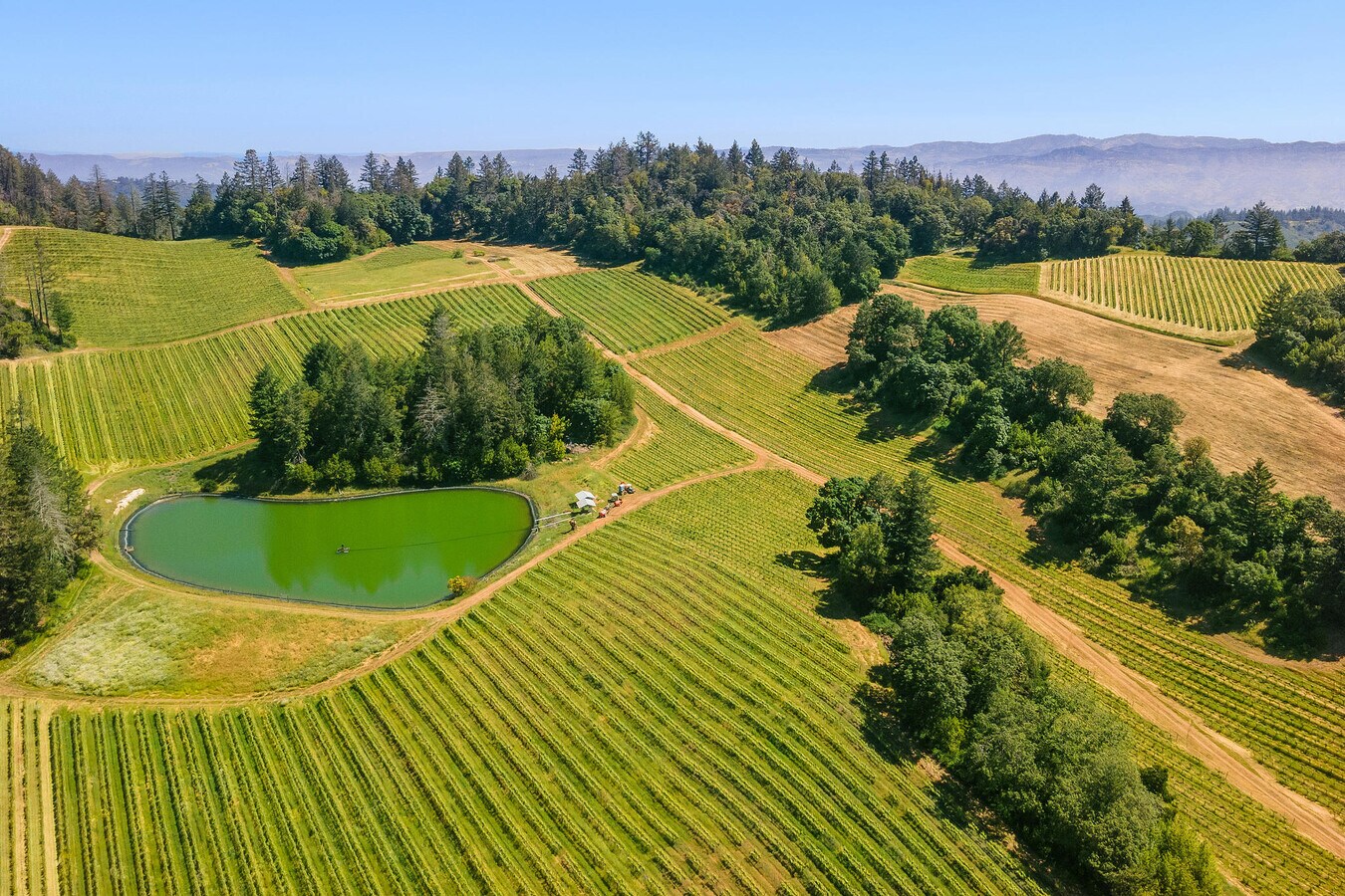 Redwood Road, Napa, CA 94558