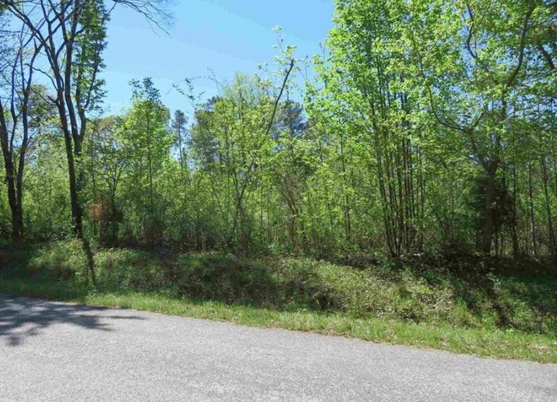 0 I-26, Little Mountain, SC for sale - Other - Image 2 of 4