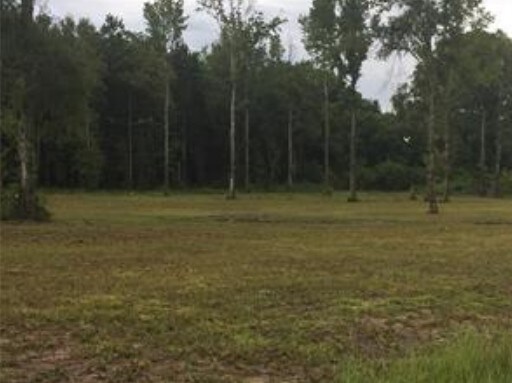 Hwy 109 S, Vinton, LA for sale - Primary Photo - Image 1 of 1