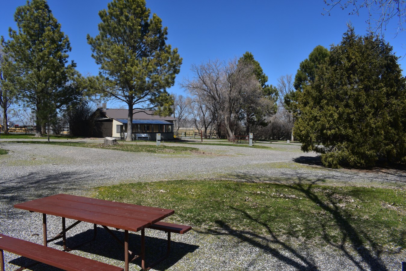 View Photo