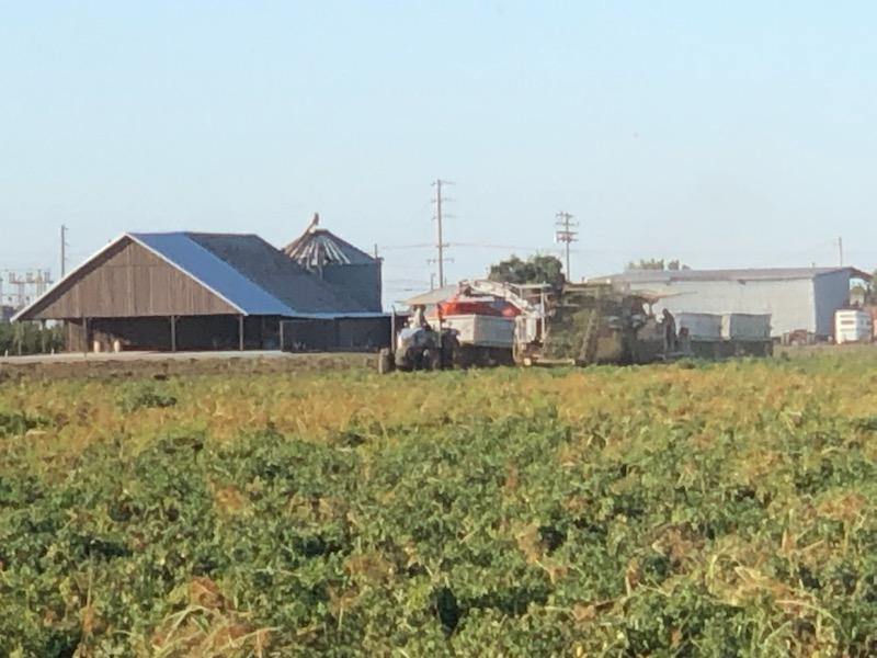 12500 W Walnut Grove Rd, Thornton, CA for sale Primary Photo- Image 1 of 1