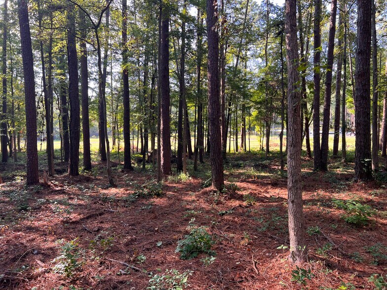 TBD 700 BLK FM 1844, Longview, TX 75605 18.74 AC TBD 700 BLK FM 1844