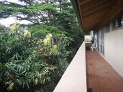 Hawaii Residential - Four Units - Triplex Property