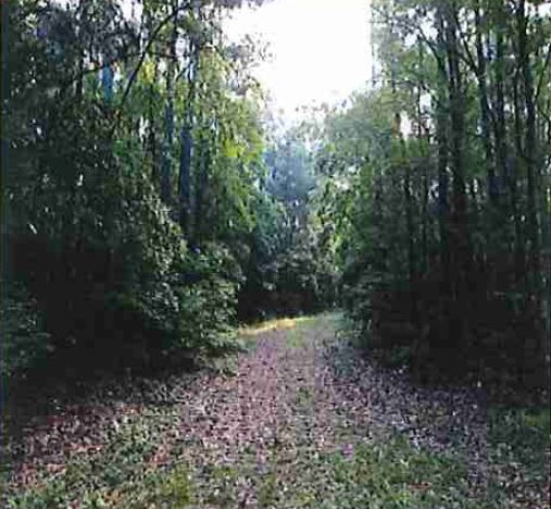 0 Boxankle Rd, Forsyth, GA for sale Primary Photo- Image 1 of 1