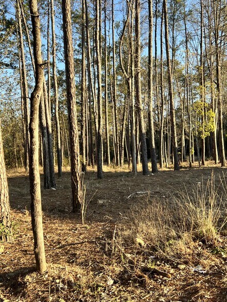 71212 Highway 21, Covington, LA for lease - Building Photo - Image 3 of 3