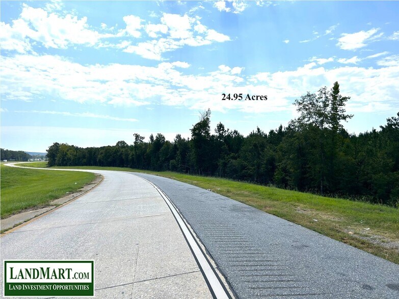 Bullard Road, Dry Branch, GA 31020 I16 Interchange Corner Site