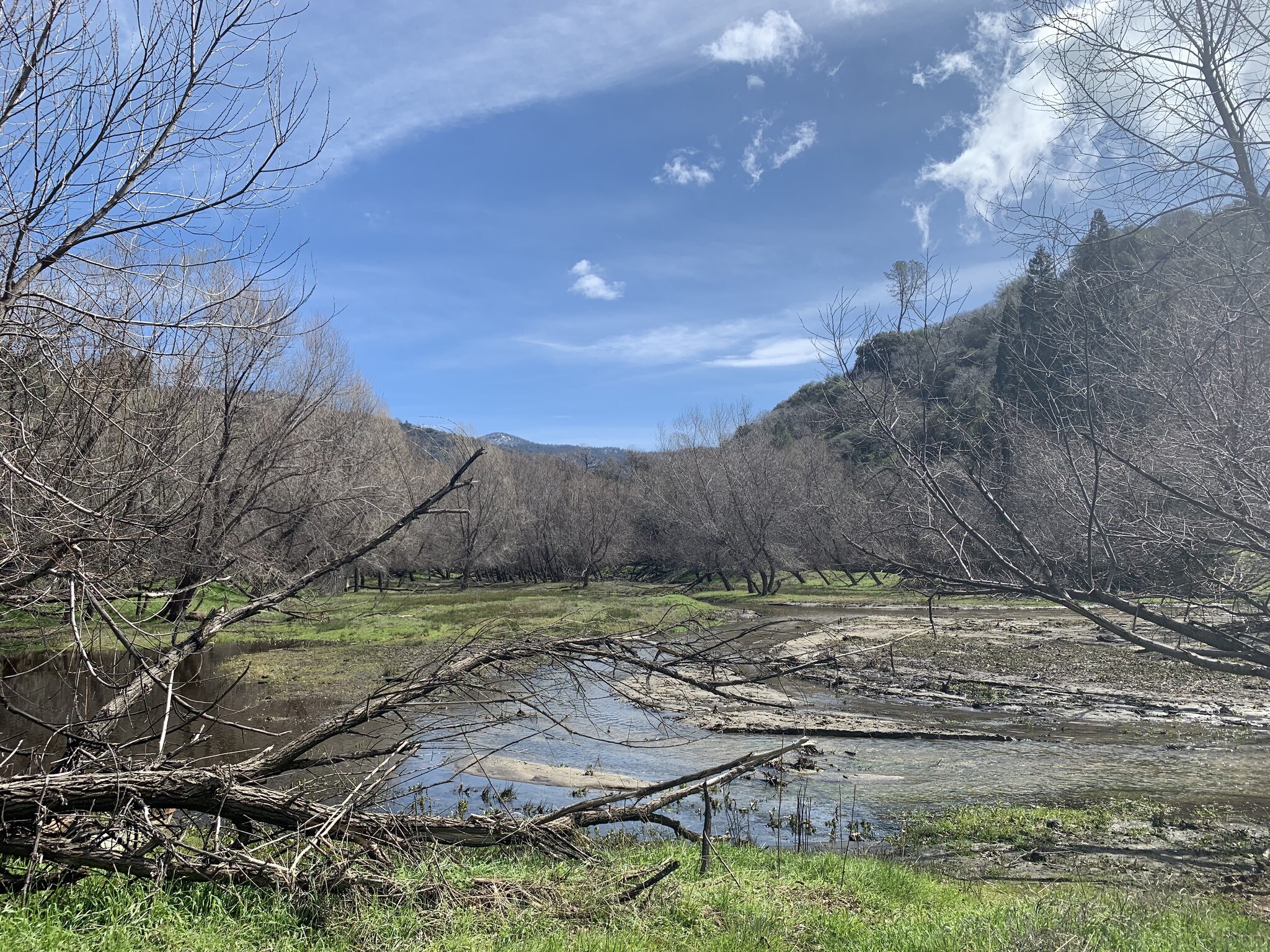 6565 Poso Flat Rd, Bakersfield, CA for sale Other- Image 1 of 1