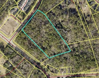 More details for HARRIS TRAIL Rd, Richmond Hill, GA - Land for Sale