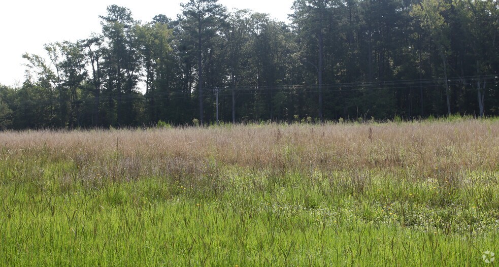 Carolina Crossroads Pky, Roanoke Rapids, NC for sale - Primary Photo - Image 1 of 1