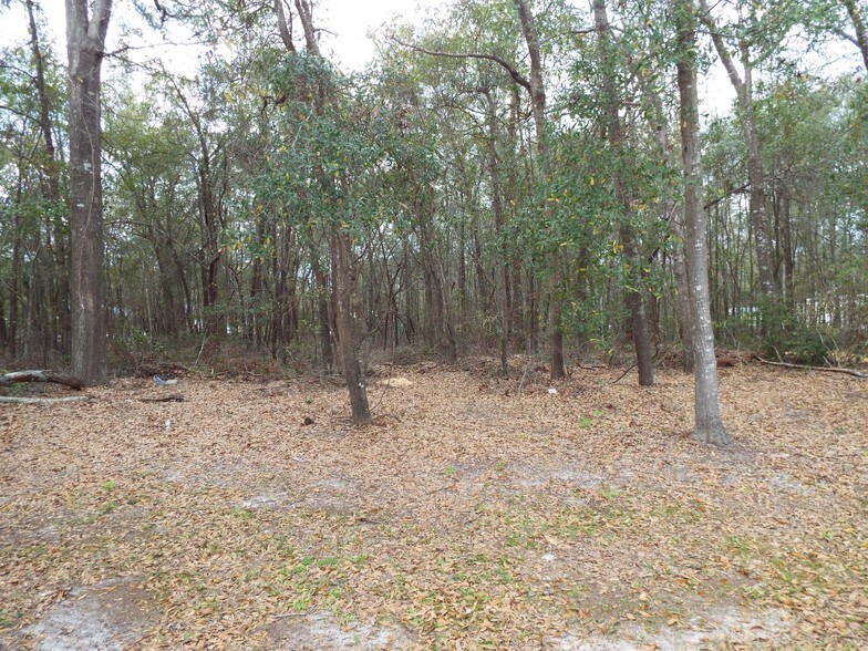 0 Laurel St, Springfield, GA for sale - Primary Photo - Image 1 of 1