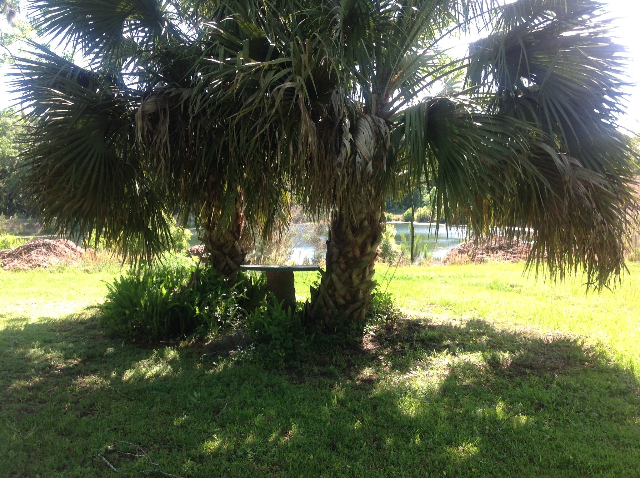 35622 Braddock Rd, Callahan, FL for sale Primary Photo- Image 1 of 1