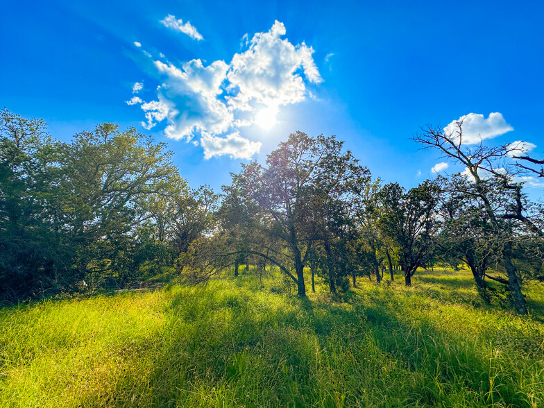 104 Oak Ct, Johnson City, TX for sale - Primary Photo - Image 1 of 11