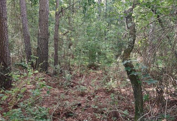 Barnesville Highway, The Rock, GA for sale Building Photo- Image 1 of 9